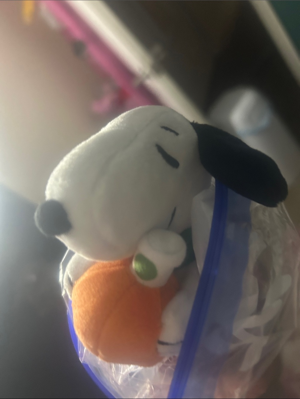 Starbucks Snoopy Plush Keychain with Orange Pumpkin and Green Collar - Picture 5 of 6